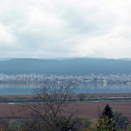 Villa Wood And Stone Ioannina Exterior foto