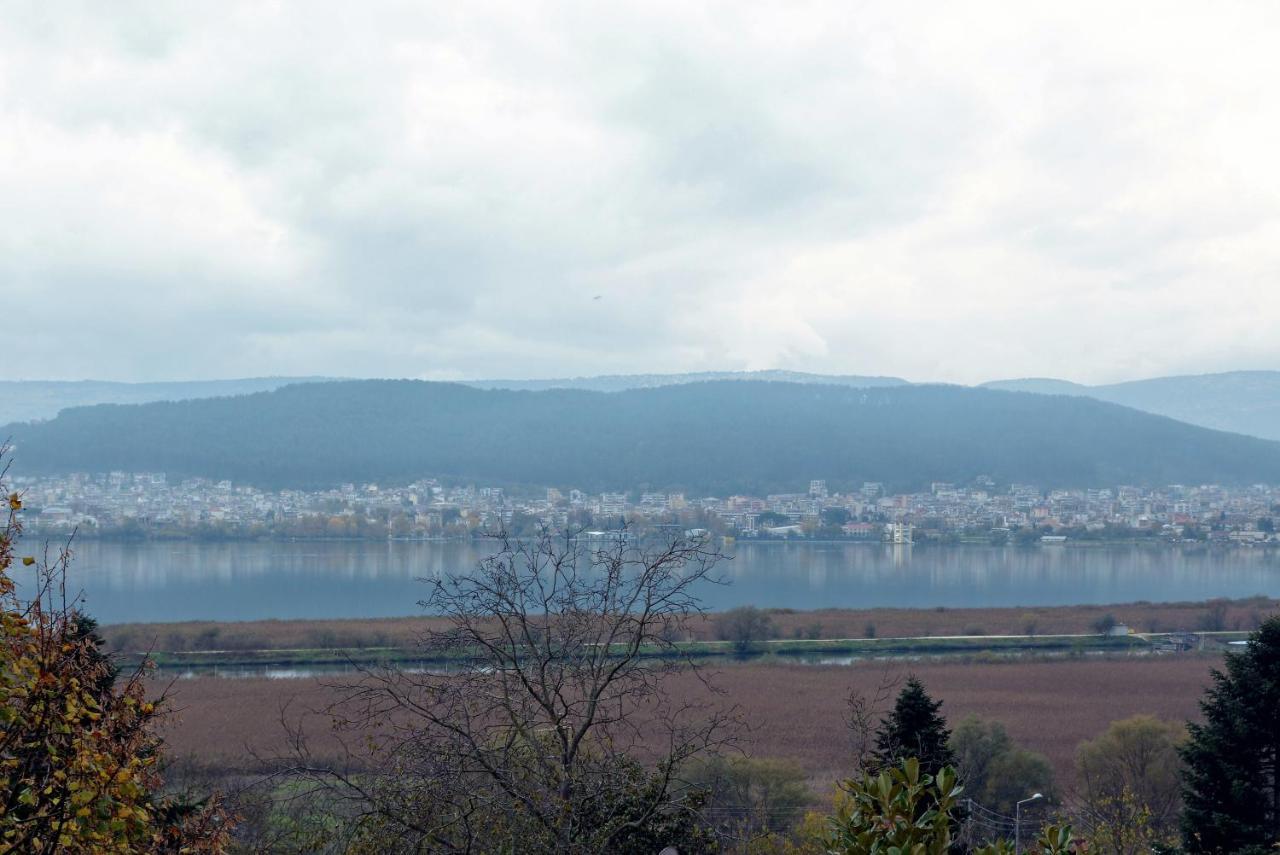 Villa Wood And Stone Ioannina Exterior foto